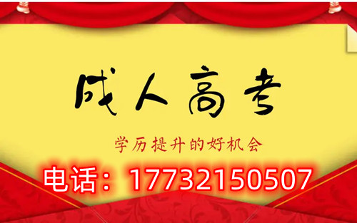 干貨！備考必讀，成考不踩雷！