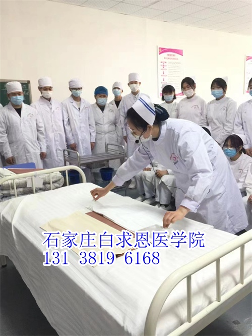 河北對口高考和對口單招有什么不同？