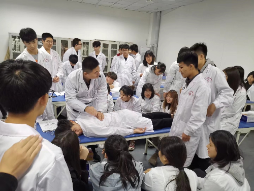 想學(xué)醫(yī)學(xué)？2026 石家莊冀聯(lián)醫(yī)學(xué)中專招生通道已開，圓你從醫(yī)夢！